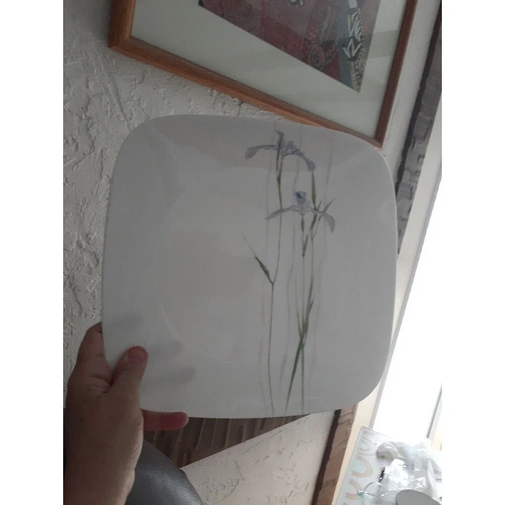 Corelle Shadow Iris 10.5